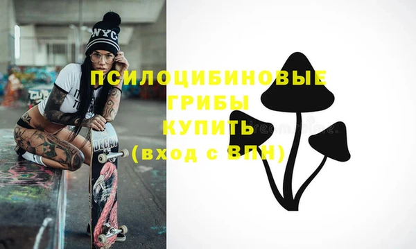 бошки Горно-Алтайск