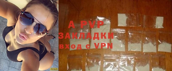 спиды Горняк
