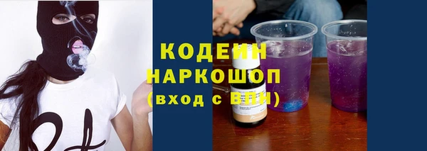 спиды Горняк