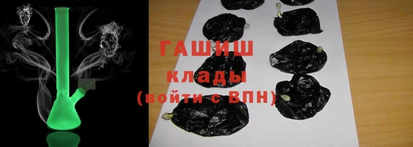 спиды Горняк