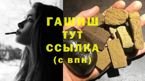 спиды Горняк