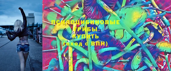 спиды Горняк