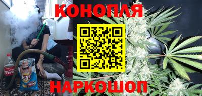 дмт Новозыбков