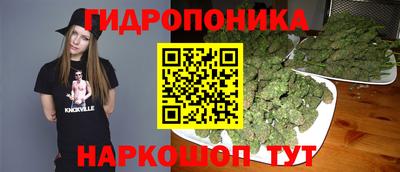 дмт Новозыбков