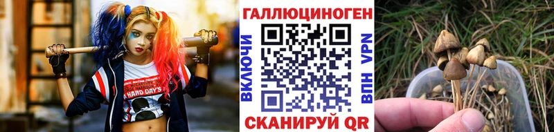 Галлюциногенные грибы мицелий  Улан-Удэ 