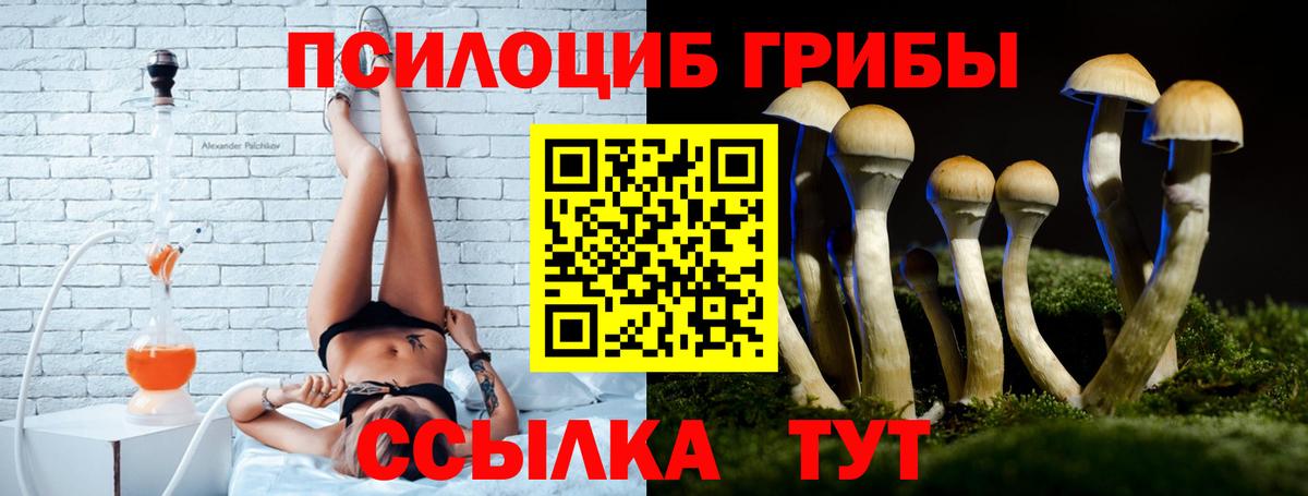 Галлюциногенные грибы прущие грибы  что такое наркотик  Галлюциногенные грибы Magic Shrooms  Улан-Удэ  Вход с VPN 
