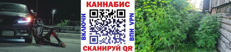 Бошки марихуана THC 21% Улан-Удэ